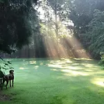 Amsterdamgarden - Stunning Garden With Pool Close To Amsterdam Laren (North Holland)