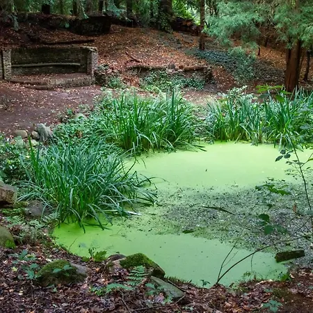 Amsterdamgarden - Stunning Garden With Pool Close To Amsterdam * Laren (North Holland)