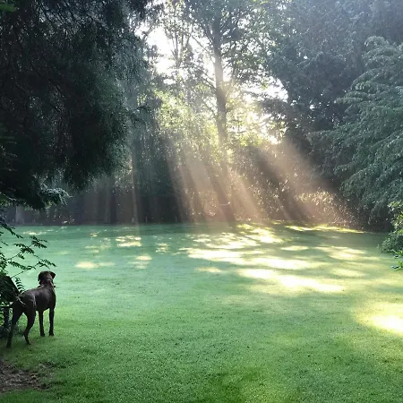 Amsterdamgarden - Stunning Garden With Pool Close To Amsterdam Laren (North Holland)