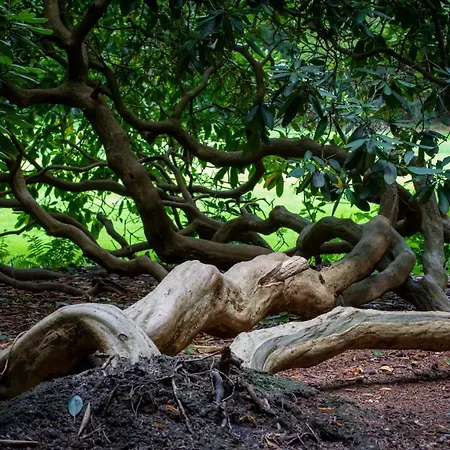 בית נופש Amsterdamgarden - Stunning Garden With Pool Close To Amsterdam לארן