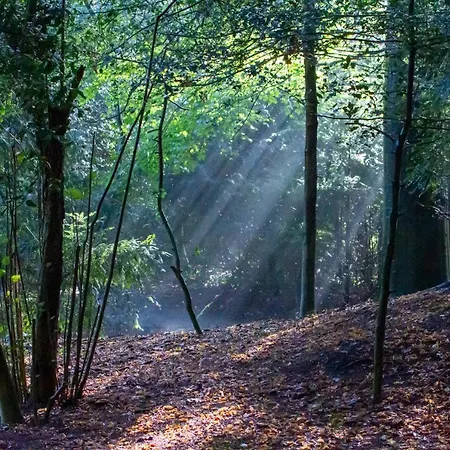 Amsterdamgarden - Stunning Garden With Pool Close To Amsterdam * לארן